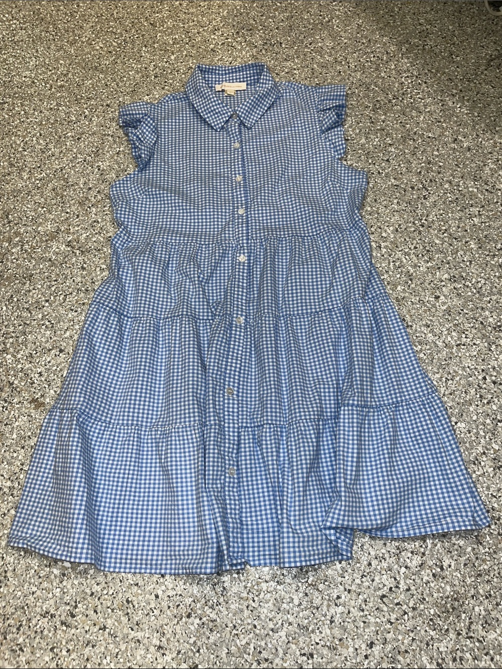 Monteau Blue and White Gingham Button-Up Dress